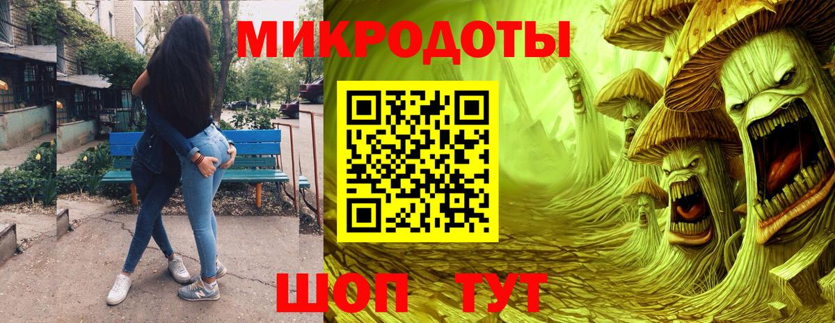 Галлюциногенные грибы Psilocybe Арзамас