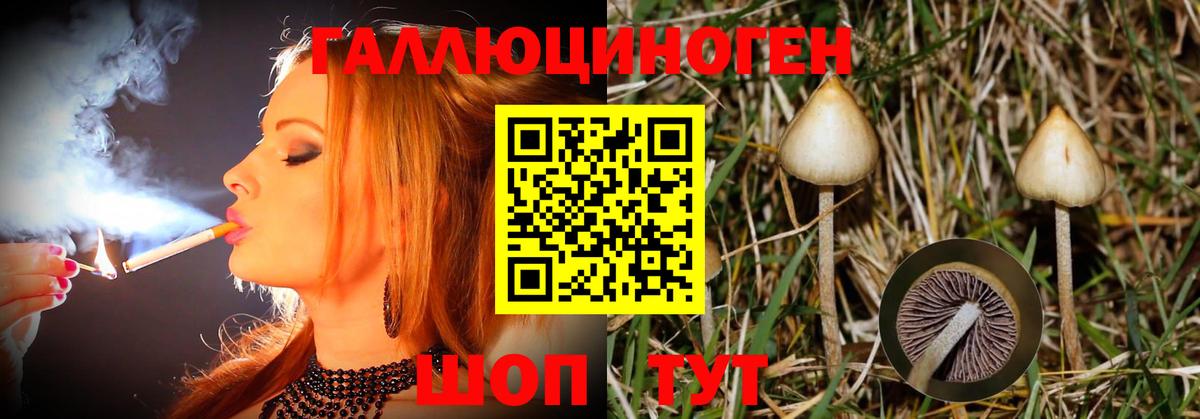 Арзамас  Галлюциногенные грибы Magic Shrooms  Вход с VPN 